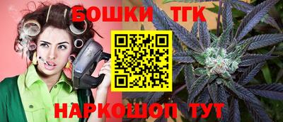 индика Будённовск