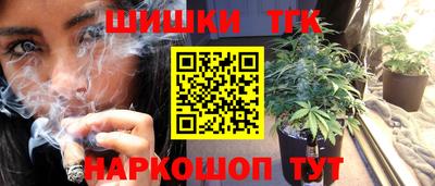 индика Будённовск