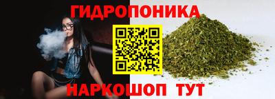 индика Будённовск